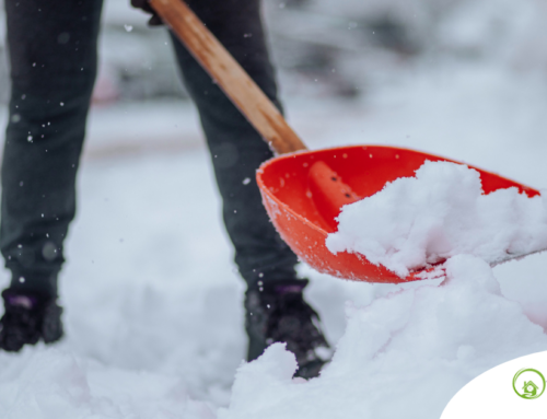 Winter Storm Preparedness: Elderly Home Care Tips for Safe Aging at Home